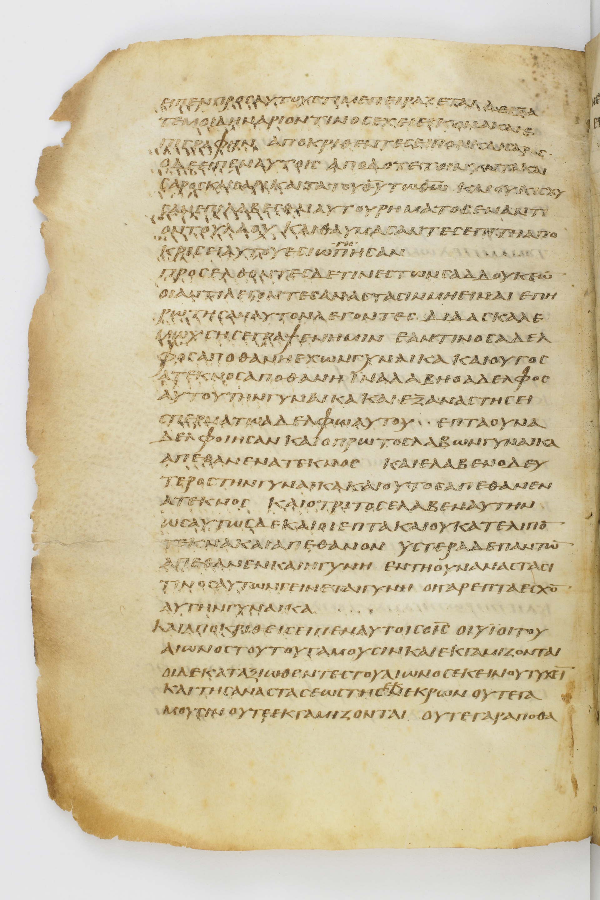 GA 032, лист 146, Оборотная сторона (verso)