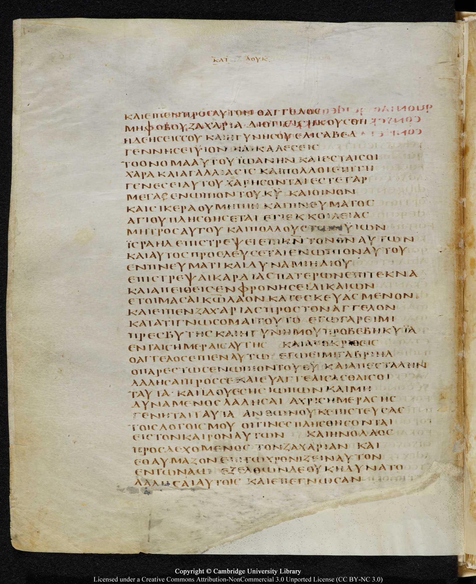 GA 05, лист 156, Оборотная сторона (verso)
