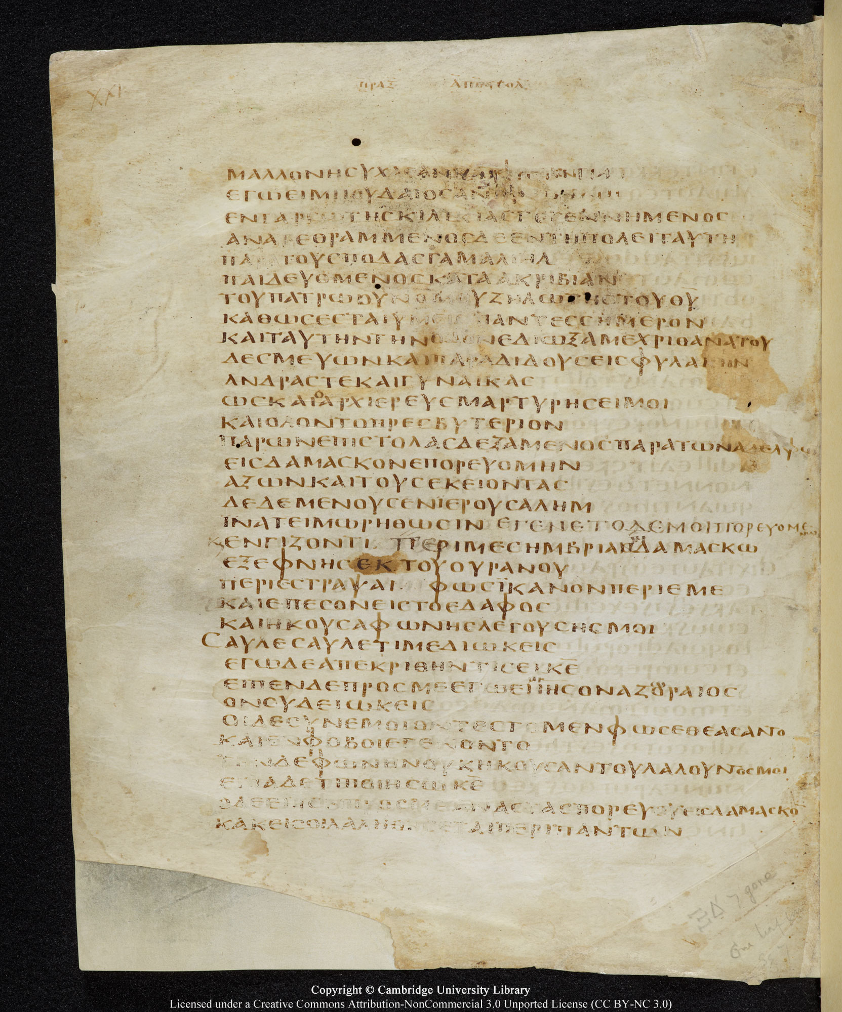 GA 05, лист 407, Оборотная сторона (verso)